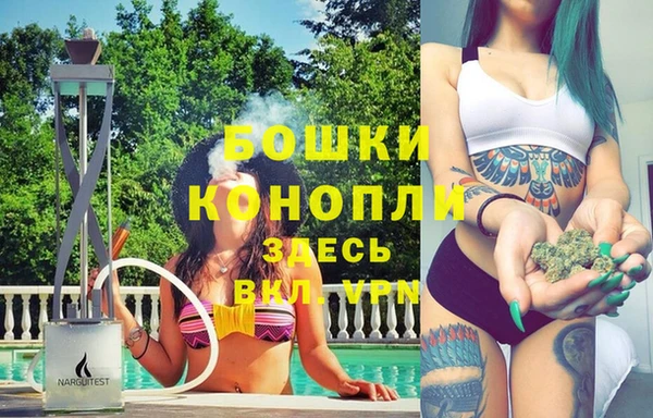 гашик Горняк