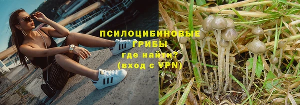 герыч Вяземский