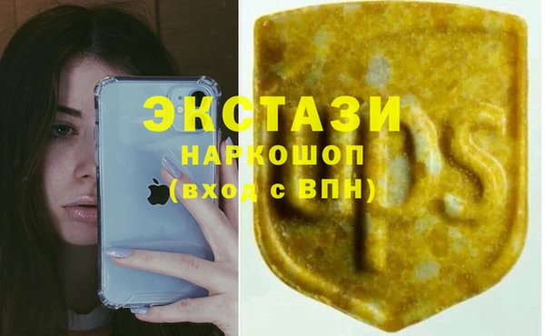 гашик Горняк