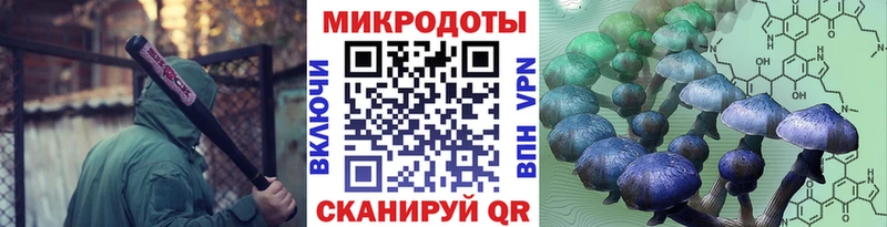 Галлюциногенные грибы Psilocybine cubensis  магазин  наркотиков  Брянск 